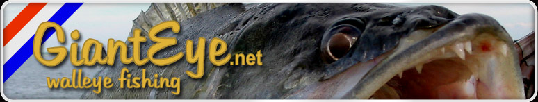 GiantEye.net